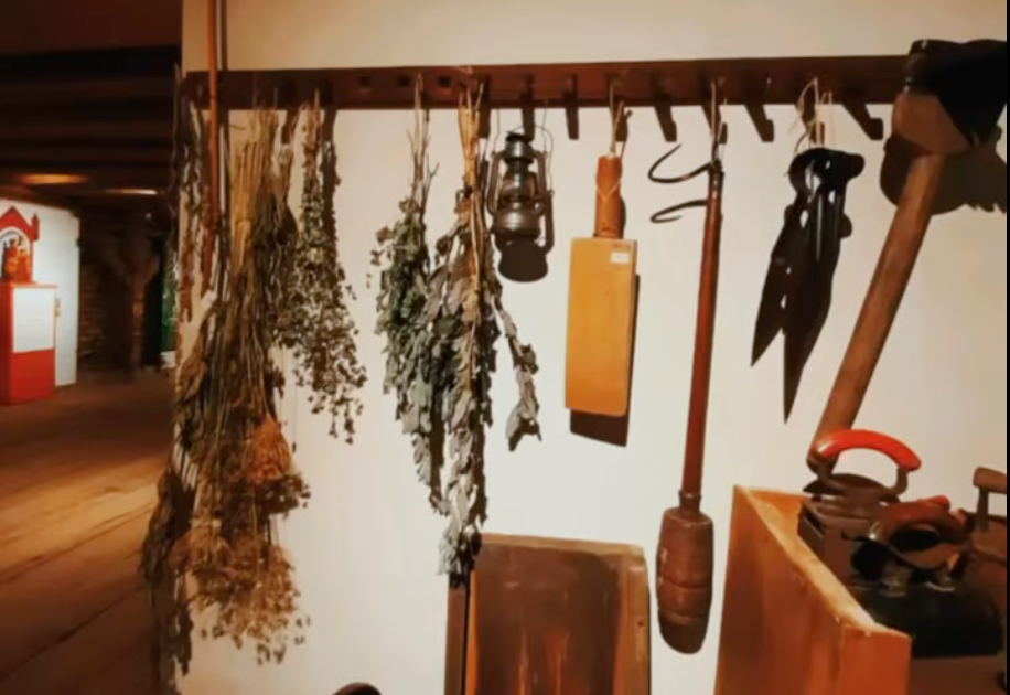 🌼 Ziołowe tajemnice Warmii i Mazur – warsztaty klasy 5a w Muzeum Warmii i Mazur